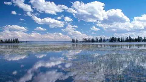 Mallard Island Hymn (Peter Ostroushko)