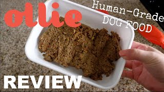 'My Ollie' The HumanGrade Dog Food | Honest Review