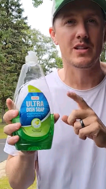 kill ants with just dish soap #antcontrol #experiment #science #cleaning #ants #satisfying #diy