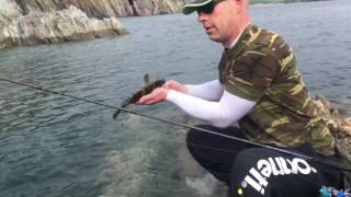 HOW TO CATCH WRASSE ON LURES 💥💥💥