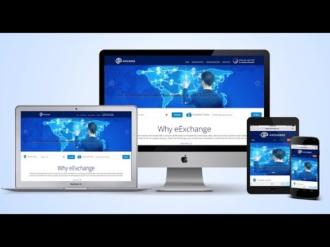 eExchange Online Money Transfer Portal