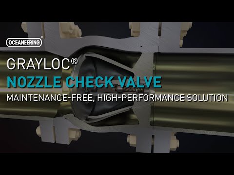 3 8 Check Valve Autozone