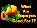 Benefits of Papaya Fruits || True Facts