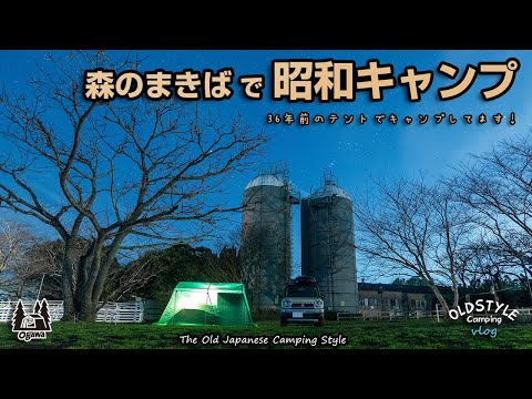 【ソロキャンプ】森のまきばで昭和キャンプ②