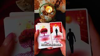La délivrance ❤️ #guidance #tarot #message