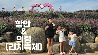 [라라팡팡] 다시 가본 함안 & 의령 축제즐기기