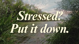 Letting Go of Stress: A Story That Changed Me