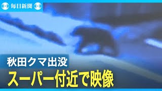 スーパー侵入のクマ、ドローンで様子判明　秋田市では複数の出没情報