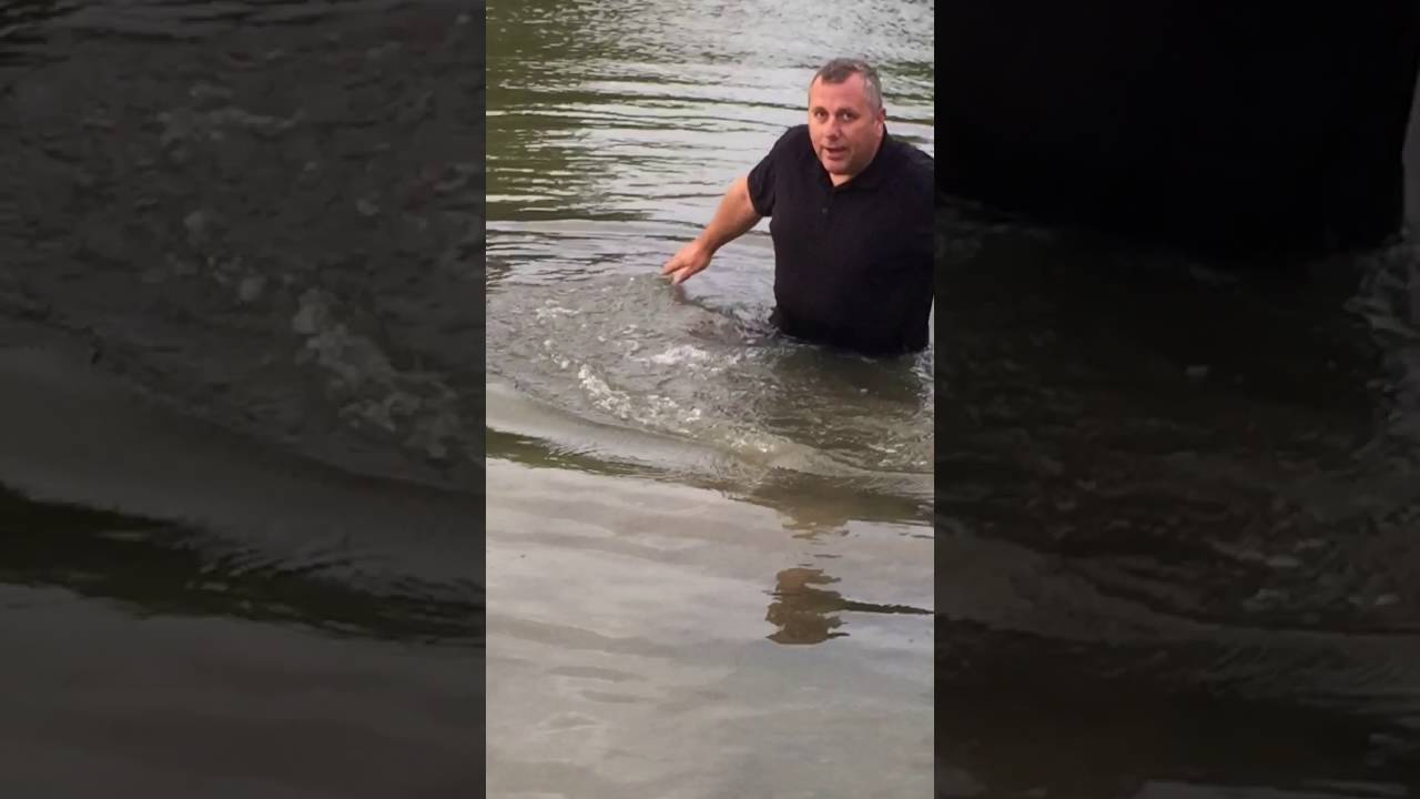 Mark Taylor's pond experience