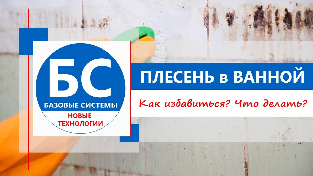 Плесень в ванной комнате. Как избавиться? Чем?