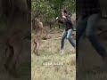 مونتاج الهربة نكت مونتاج الهربة نكت