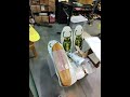 Boxing #skateboarding history part 1 at the #skateboardinghalloffame