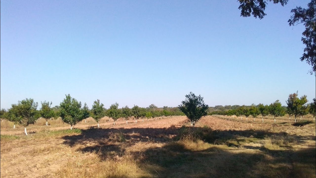 Infographic - Biodiversity