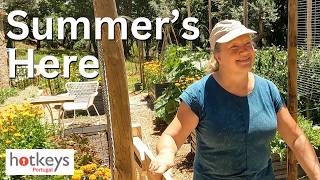 Our FIRST real summer in Portugal 🇵🇹 Harvests, heat & new beginnings EP136