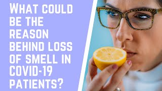 What Could Be The Reason Behind Loss Of Smell In Covid-19 Patients?