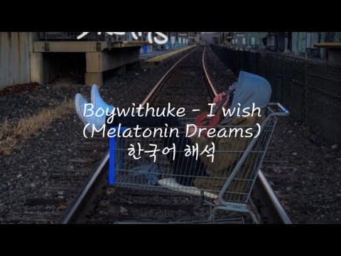 BoyWithUke - I Wish | Lyrics By Nikki