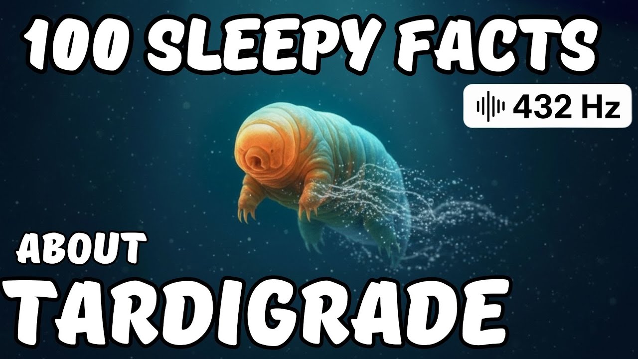 100 Incredible Tardigrade Facts: The World's Most Resilient Creature (Sleep Science / No Ads)