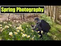Challenging Early (But Late!) Spring Photography - Landscape Photography Vlog