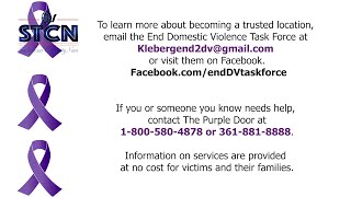 Domestic Violence Task Force