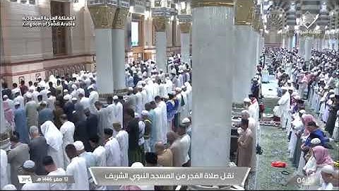 صلاة الفجر للشيخ د. #عبدالمحسن_القاسم الجمعة 12 صفر 1446هـ فواتح سورة آل عمران 1-13 