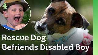 Dog Who Lost Hope Finally Finds Love | The Dog House 🐶