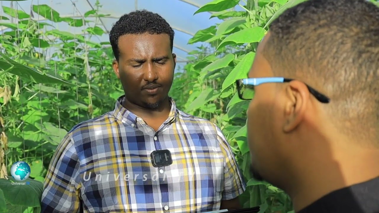 Beeraha casriga ah ee ku yaala Muqdisho oo looga maarmay qudaar nooga imaan jirtay wadamada Dibbada