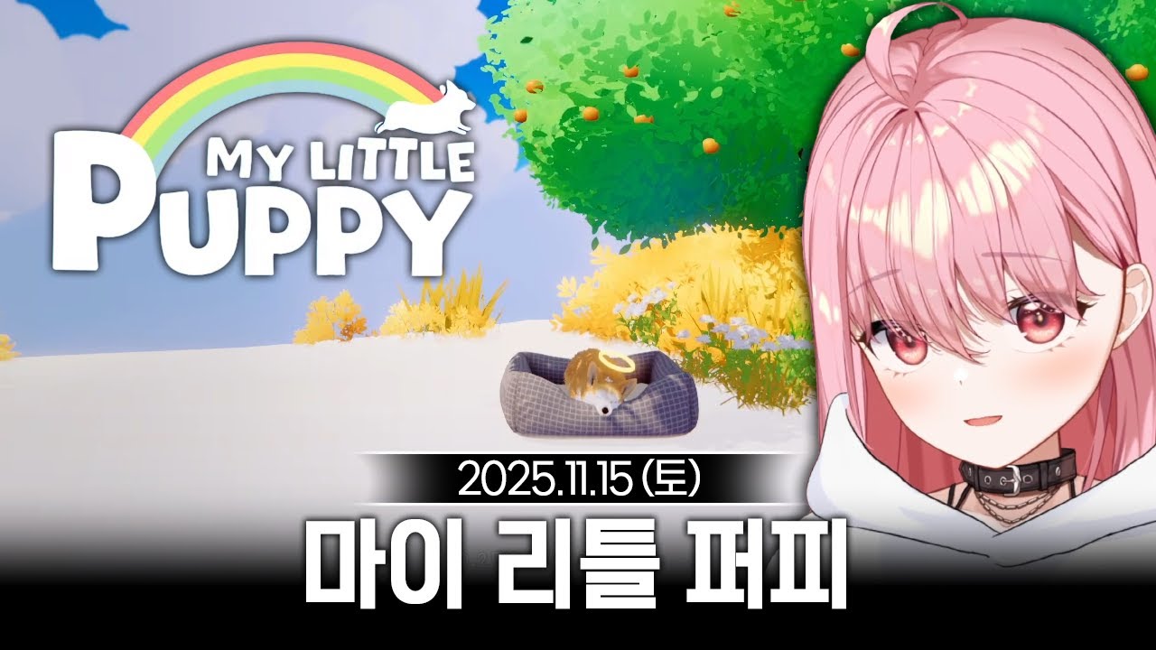 [2025/11/15] 눈물펑펑 