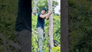 bili na kayo Ng kahoy nagbebenta ako🤩#buhayprobinsya #tunaynabuhay