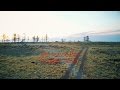 Мой первый полёт на DJI Mavic Pro