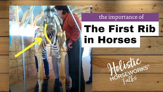 The Importance of the First Rib in Horses | Holistic Horseworks Talks