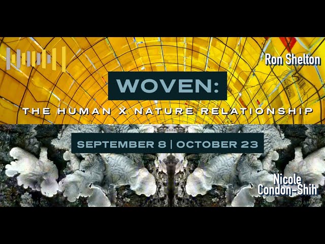 Art Talk and Exhibition Tour of Woven: The Human x Nature Relationship