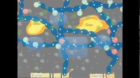 biomaterial video.mov