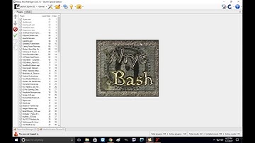 Skyim SE: Wrye Bash Installation and Bash Patch Tutorial