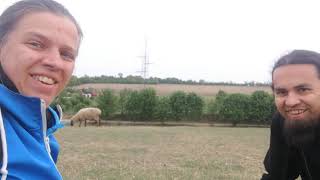 Birka Vlog Nem Ment A Többiek Után