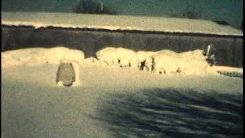 Gail Sullivan Holmes Family Video  - 1960