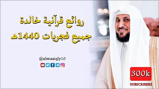 بمناسبة 300 ألف مُشترك 😍 | تلاوات عظيمة مُحبرة تحبيرا من الشيخ د. ماهر المعيقلي | جميع فجريات ١٤٤٠هـ