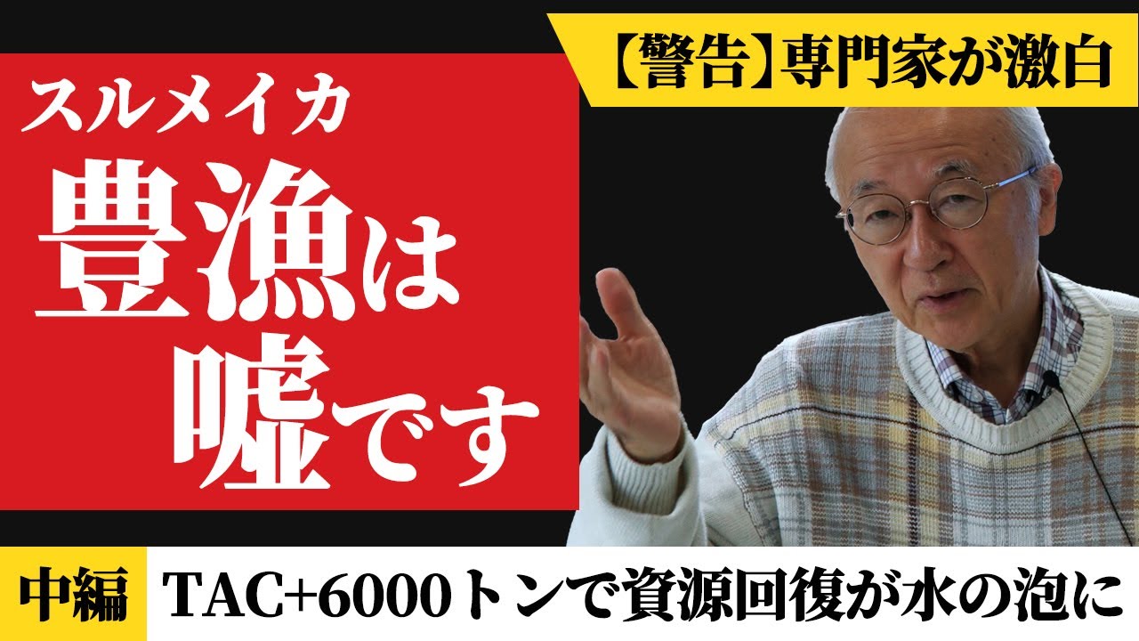 【警告】スルメイカ