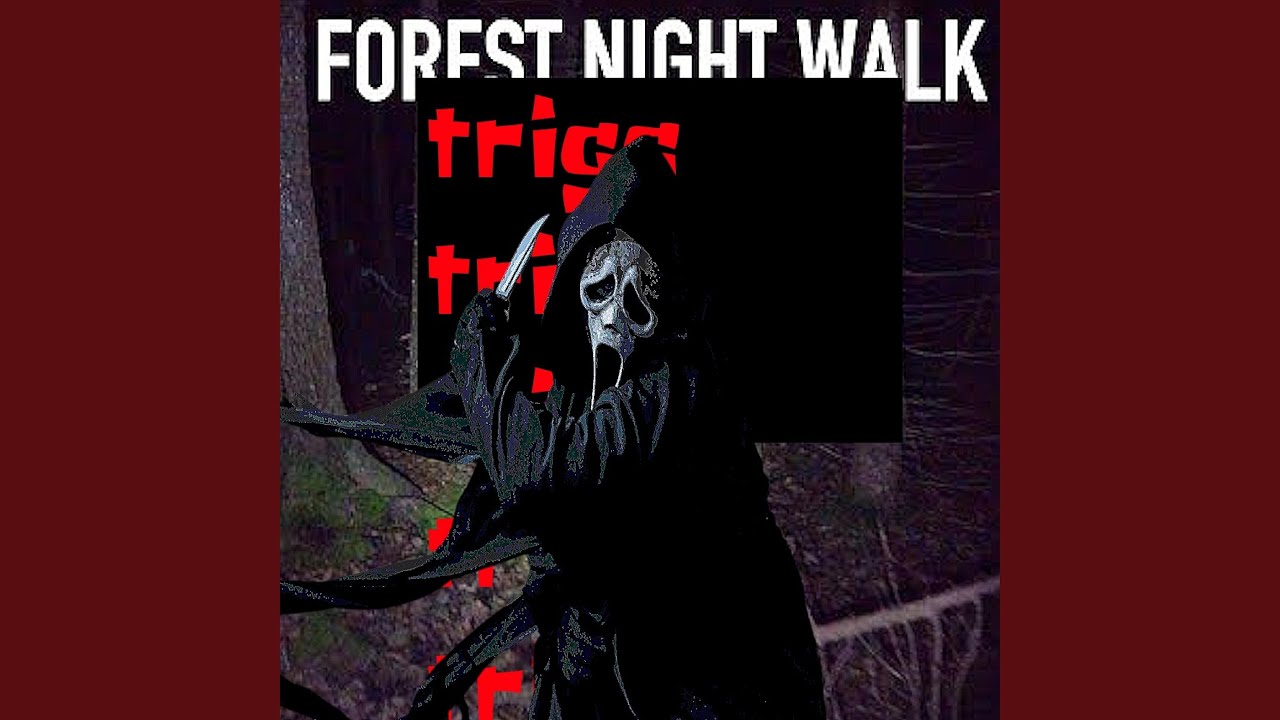 FOREST NIGHT WALK / ZALGO
