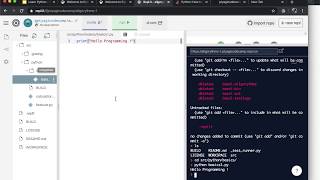 3. Importing Github repo into Repl.it (Optional)