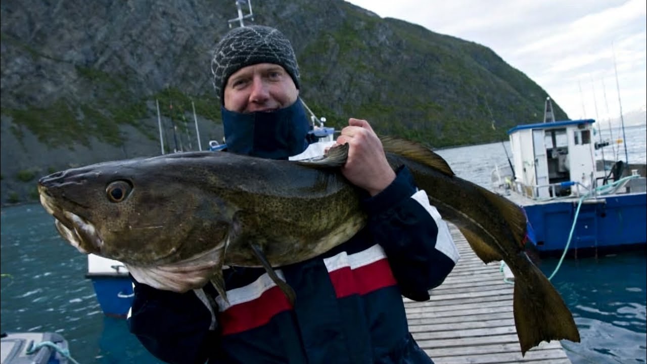 ☣️Ocean Park/Fishing for shrimp🎣
