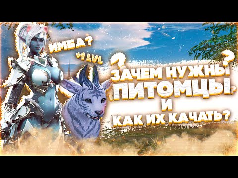 Питомцы - как прокачивать и есть ли смысл? Петы в Lineage 2 Essence