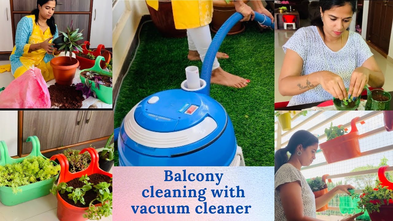 Balcony cleaning with Vacuum cleaner😊NewplantsEasywaytocleanbalcony