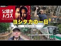 【男磨きハウス】38歳無職童貞 人生ドン底から這い上がる記録【Vlog】