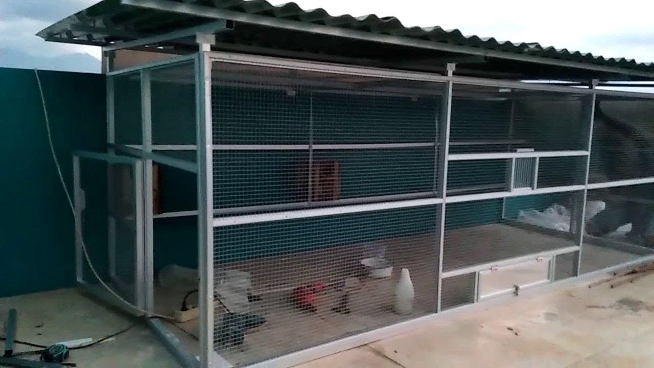 Proses Pembuatan Kandang Lovebird Koloni 