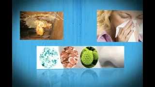 Does Mold Die?  Can I kill Black Mold in my Home?