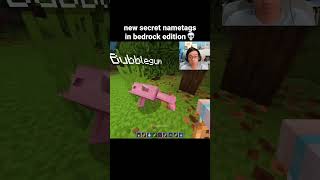 Minecraft Secret Nametags Moment