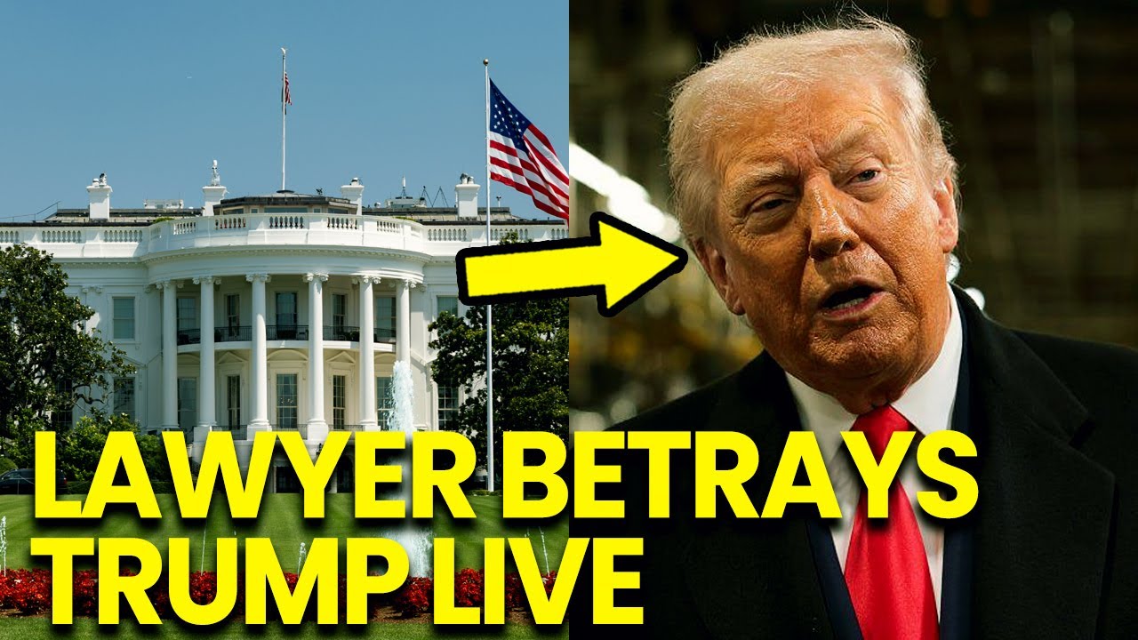 Trump's Lawyer LIVE Betrayal Triggers Total White House MELTDOWN