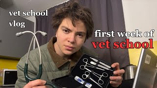 My First Week Of Vet School 2Nd Term Vet School Vlog