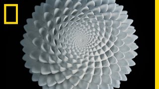 What Makes These Sculptures Look So Perfect? | Short Film Showcase