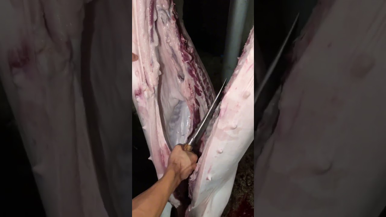 Skilled Butcher + Beast Cleaver = Perfect Meat Cuts 2025 